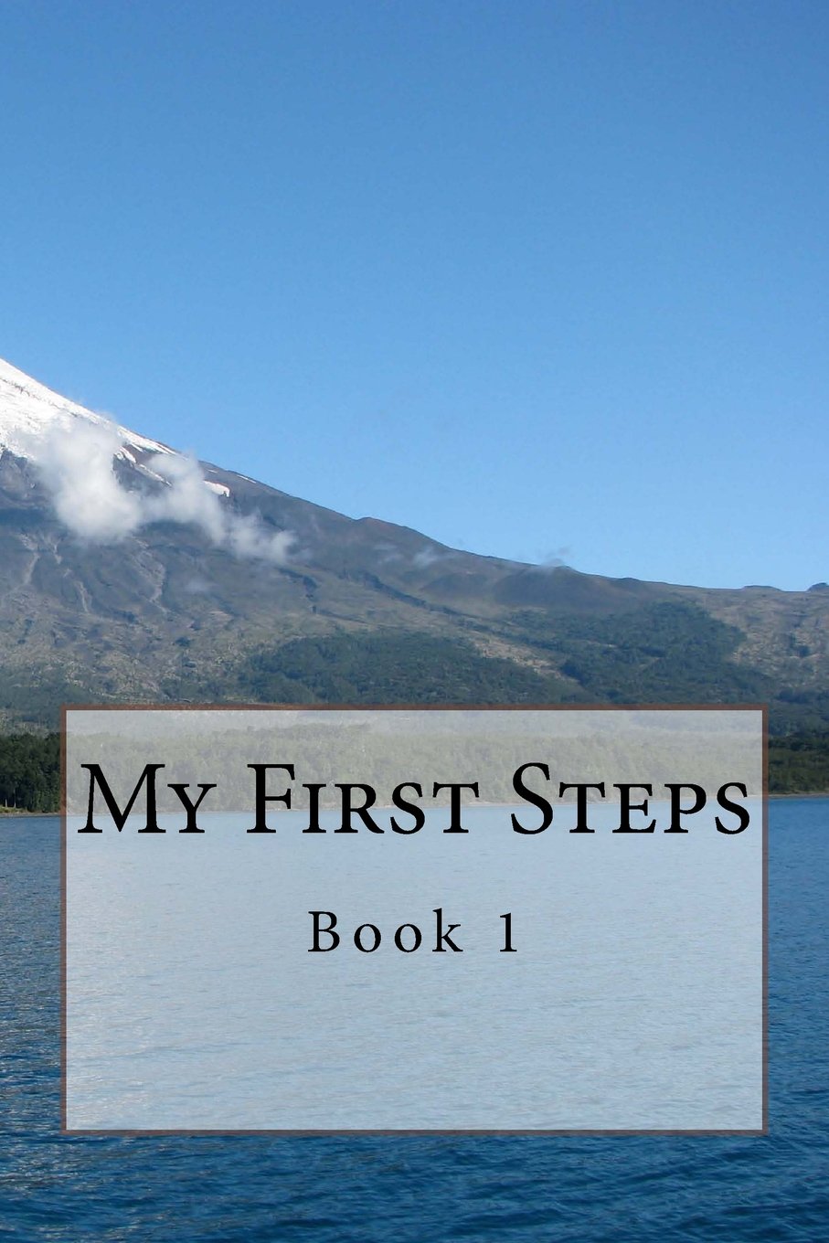 My First Steps baixar livro de graça