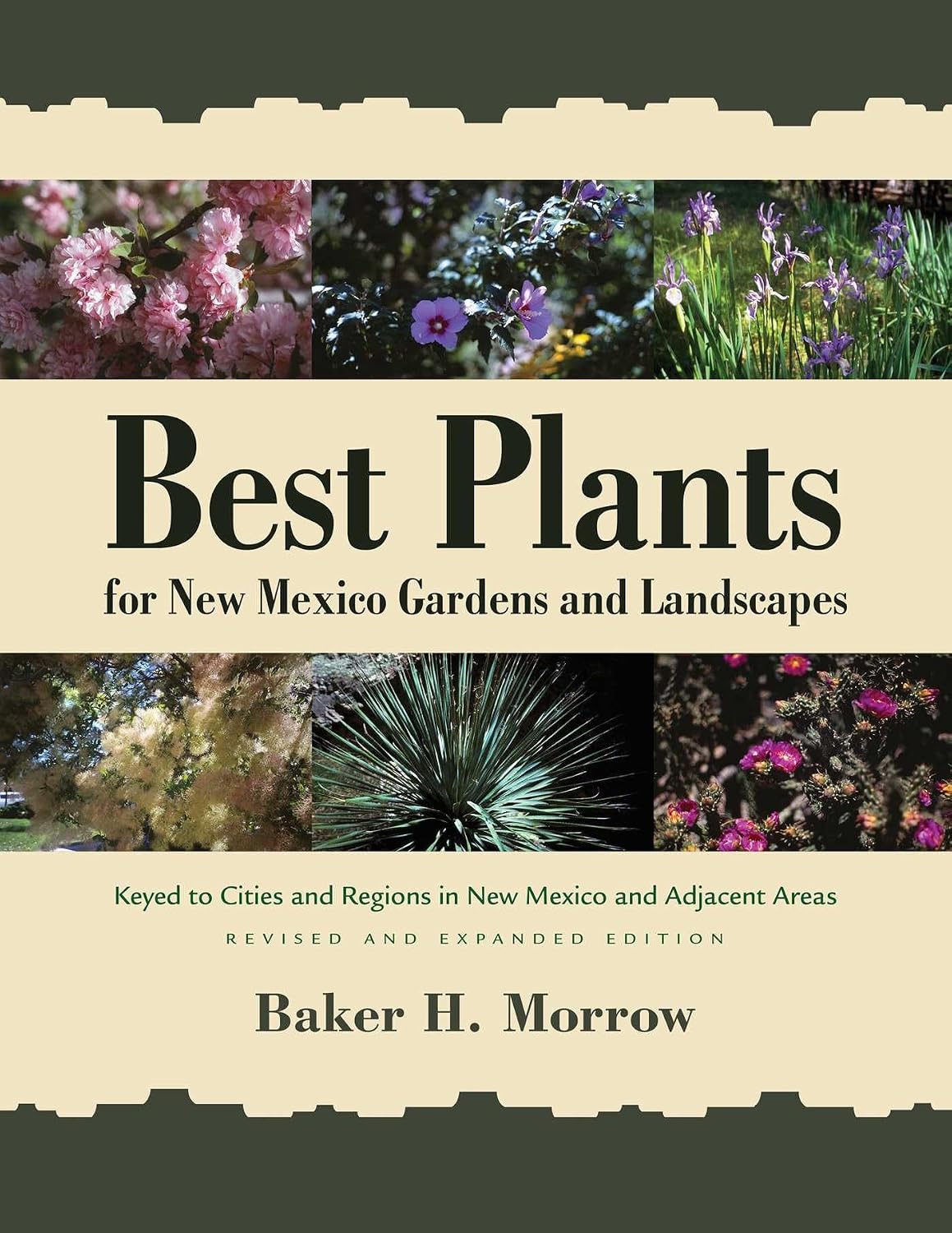 Best Plants for New Mexico Gardens and Landscapes: Keyed to Cities and Regions in New Mexico and Adjacent Areas, Revised and Expanded Edition baixar o livro de graça