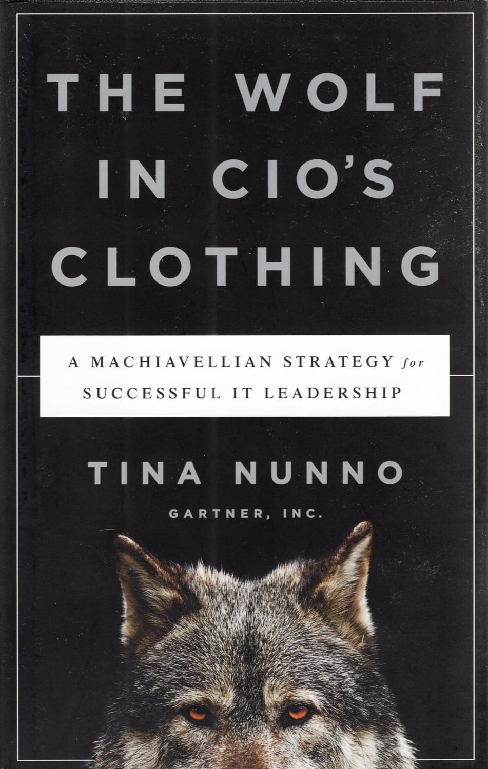 Wolf in Cio's Clothing: A Machiavellian Strategy for Successful It Leadership baixar livro de graça