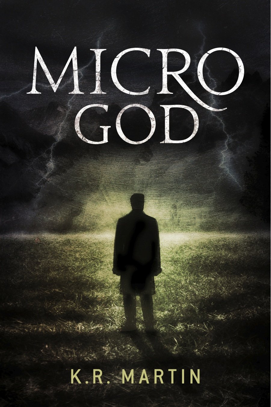 Micro God (English Edition) baixar livro de graça