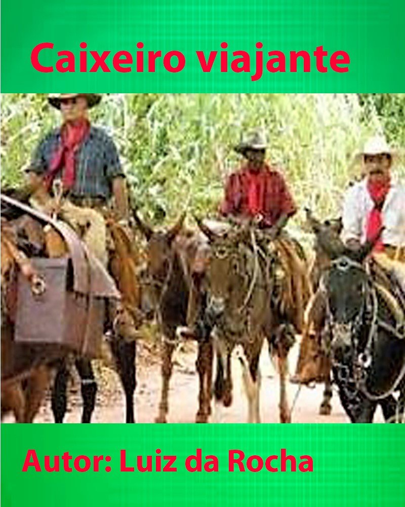 CAIXEIRO VIAJANTE baixar livro de graça
