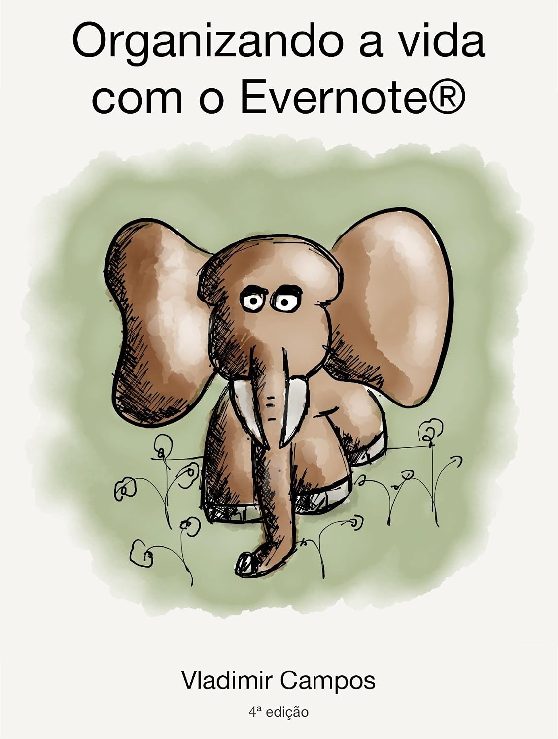 Organizando a vida com o Evernote baixar livro de graça