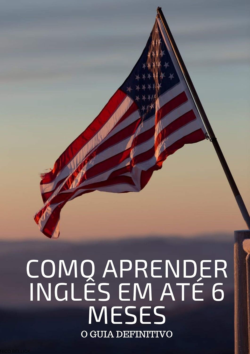 COMO APRENDER INGLÊS EM ATÉ 6 MESES: O guia definitivo baixar livro de graça