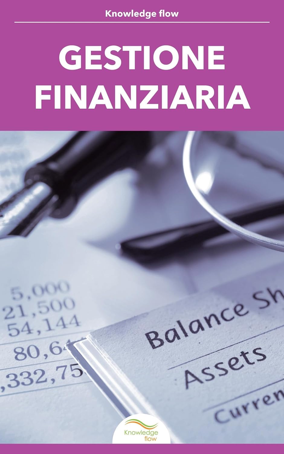 ler totalmente Gestione Finanziaria (Serie di Management e Business) (Italian Edition)