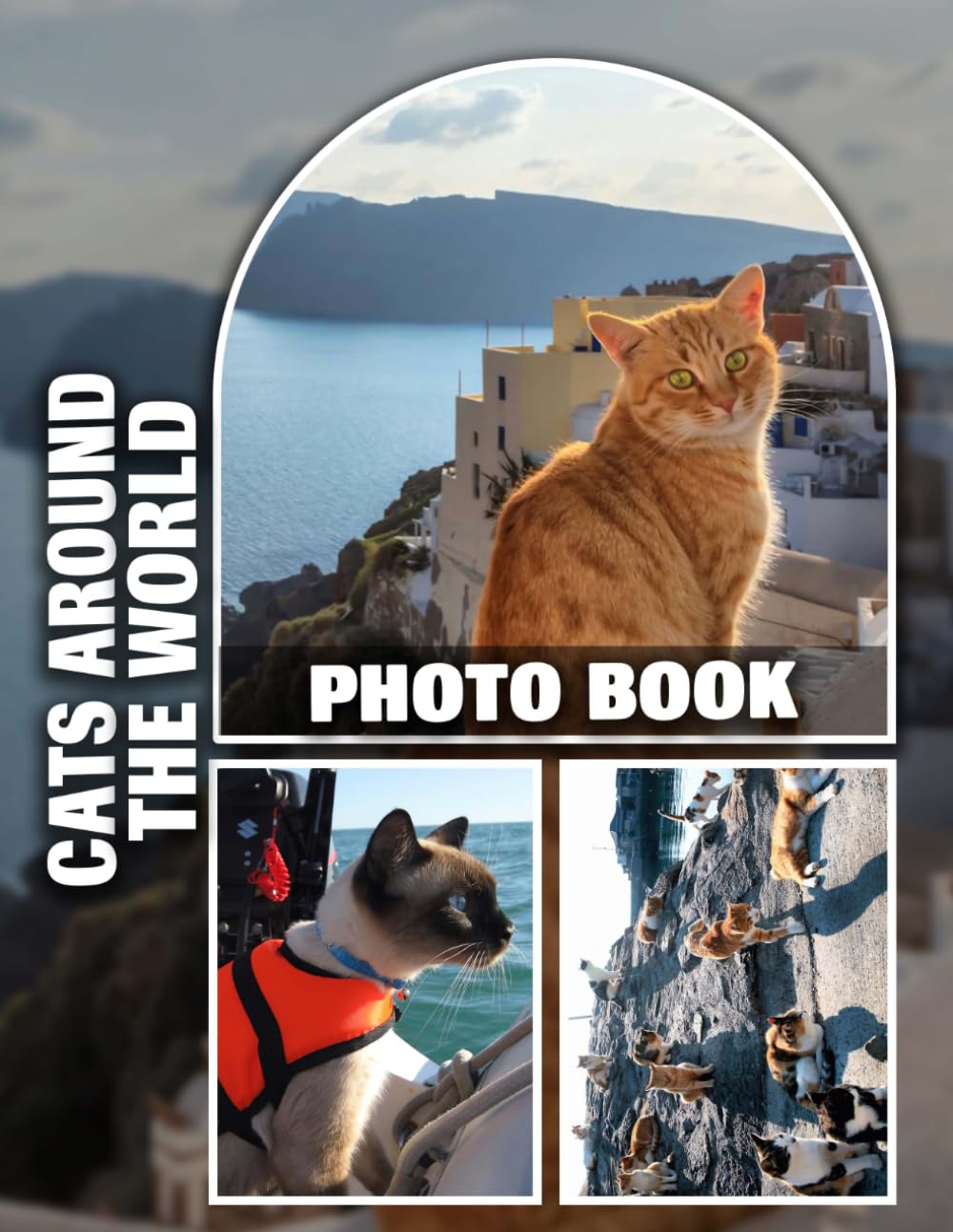 Cats Around The World Photo Book: Stunning Feline Photography From Various Countries for Cat Lovers, Featuring Unique Breeds and Cultural Backgrounds baixar livro de graça