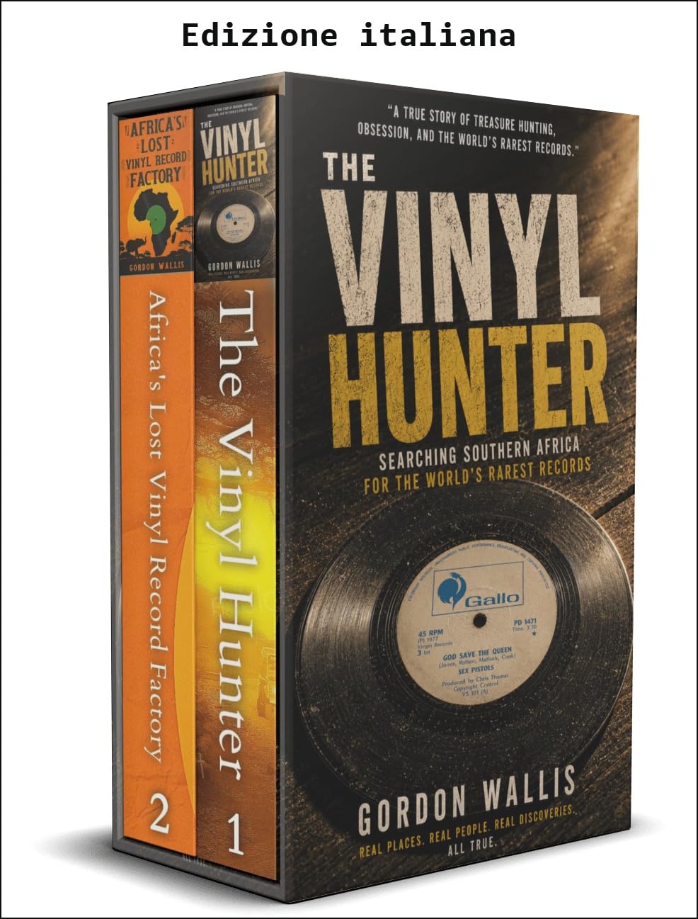 Le avventure del vinile (Italian Edition) baixar livro de graça