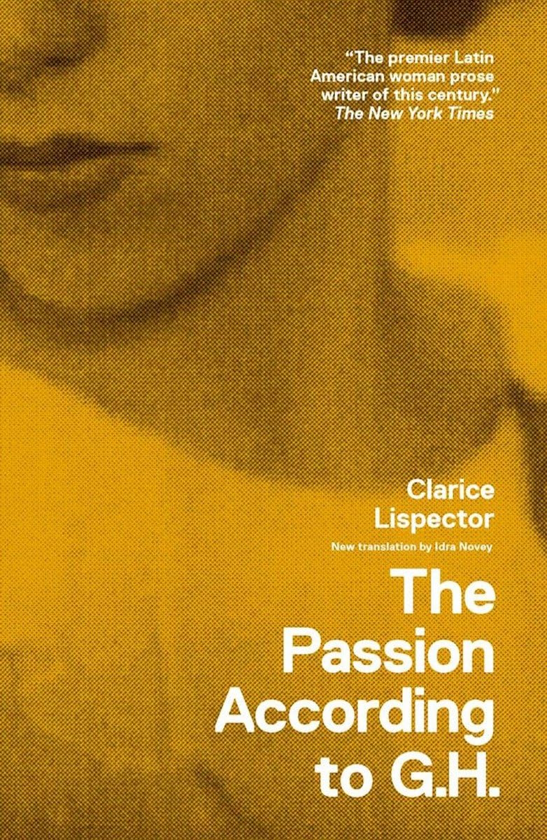 capítulo por capítulo baixar The Passion According to G.H.