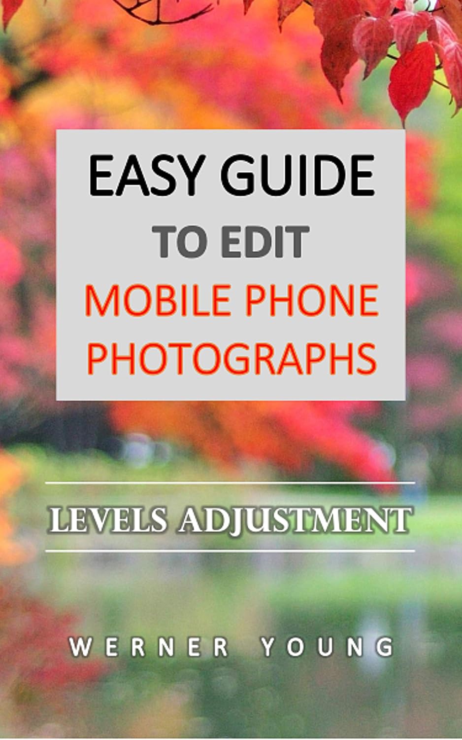 ler totalmente Easy Guide to Edit Mobile Phone Photographs: Levels Adjustment (English Edition)