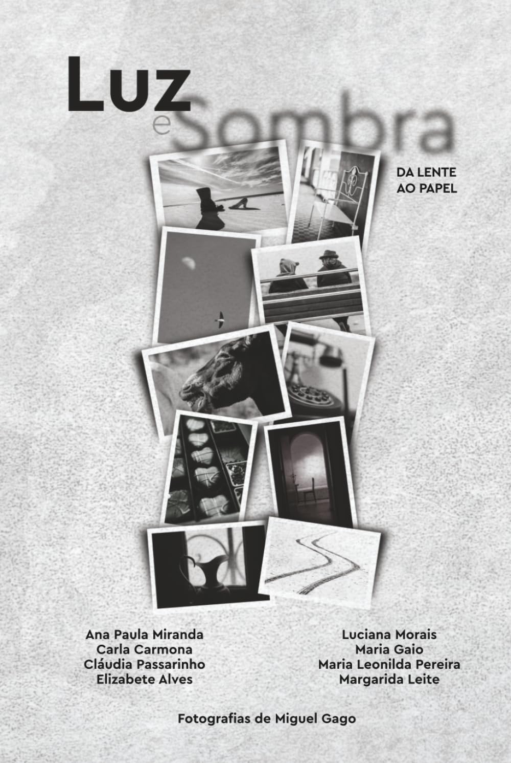 Luz e Sombra - da lente ao papel baixar o livro de graça