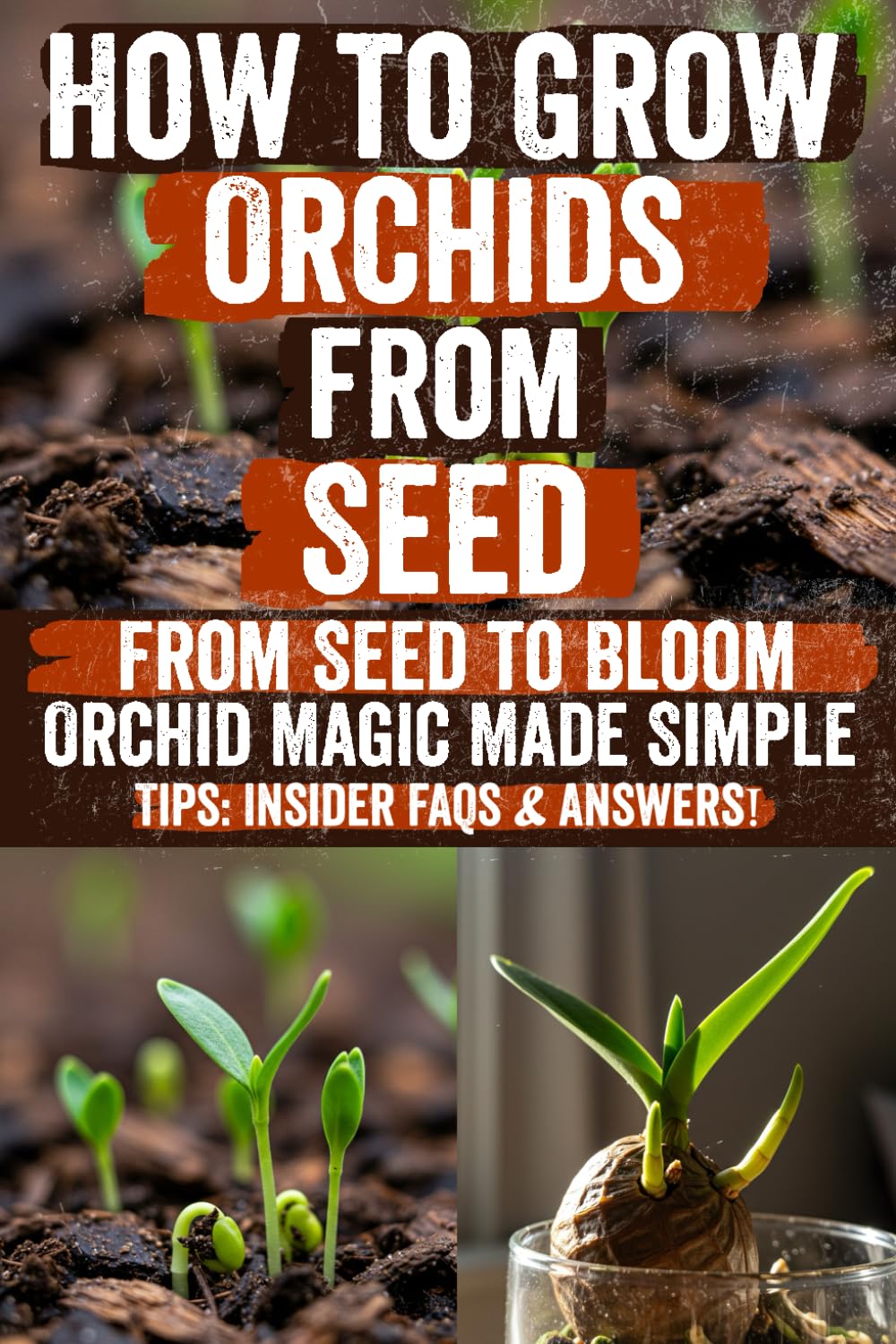 ler totalmente How to Grow Orchids from Seed: Discover the Secret Techniques to Easily Grow, Care, and Bloom Stunning Orchids at Home—Step-by-Step Guide Packed with... Beautiful Results from Your Very First Try!