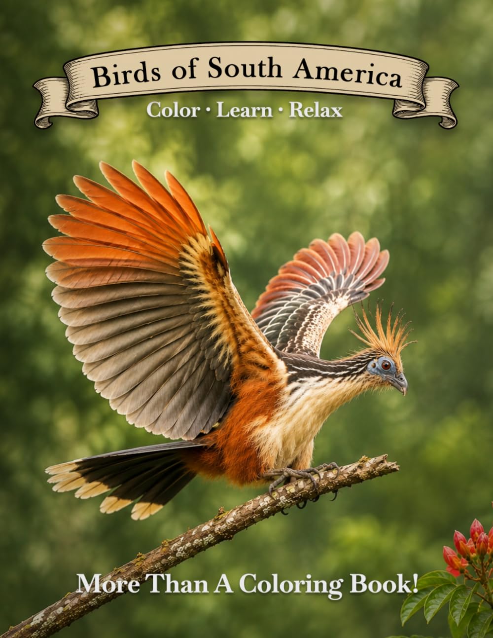 Birds of South America (Colonel Haversham's Nature Series) baixar livro de graça