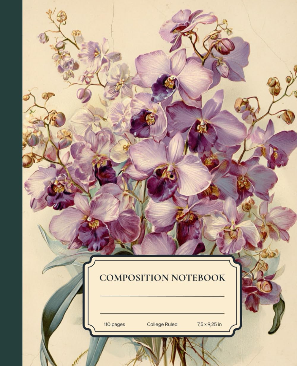 Composition Notebook College Ruled Lavender Purple & Pastel Green Mint Color Orchid Vintage Flower Botanical Illustration: Cute Floral Aesthetic Journal For Girls, Teens, Women baixar livro de graça