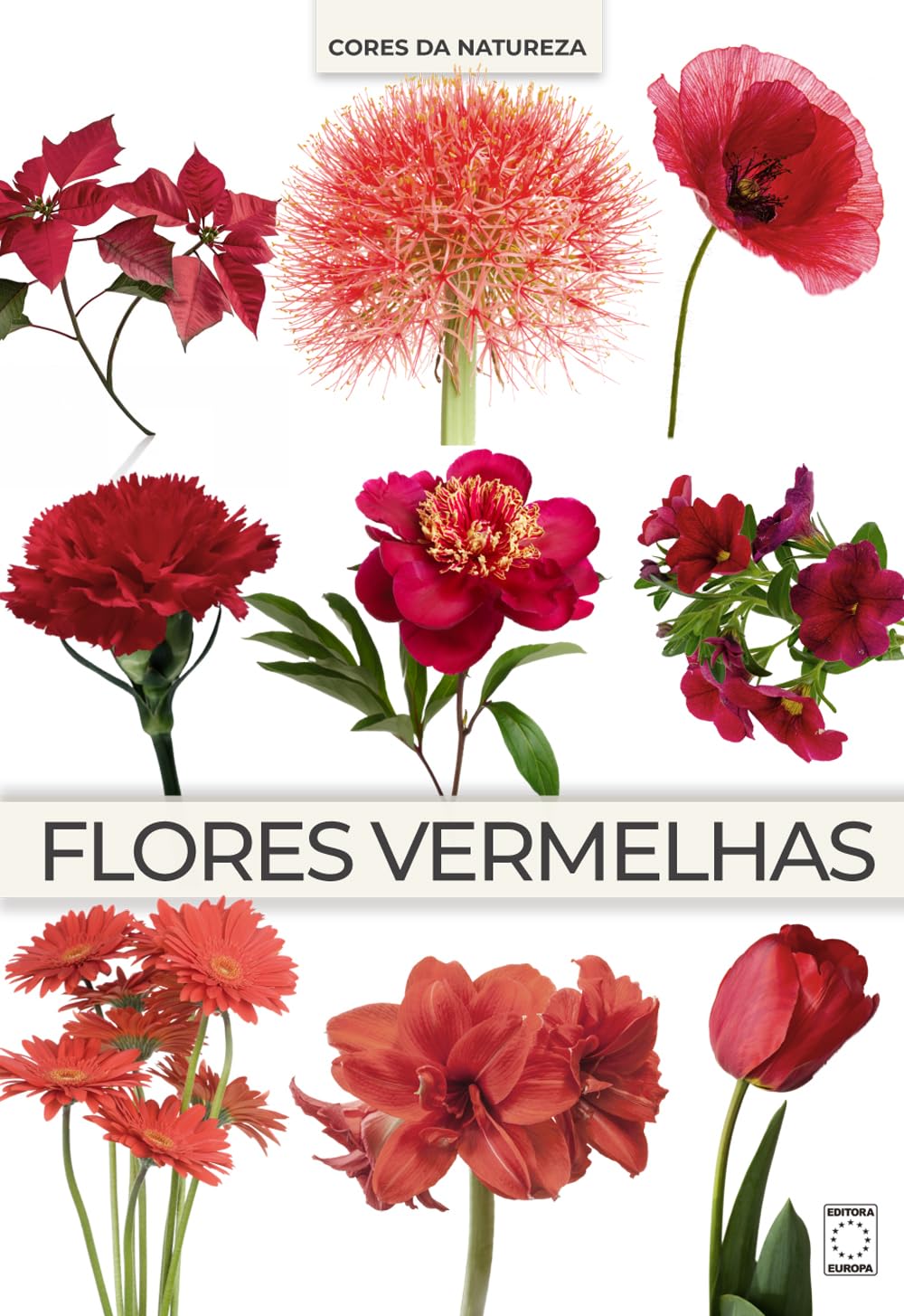 ler totalmente Coleção Cores da Natureza - Flores Vermelhas