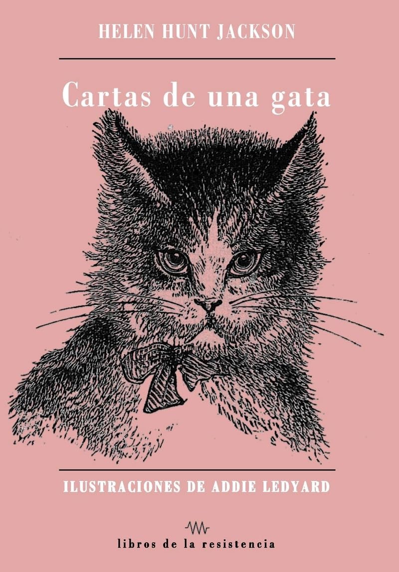 capítulo por capítulo baixar Cartas de una gata