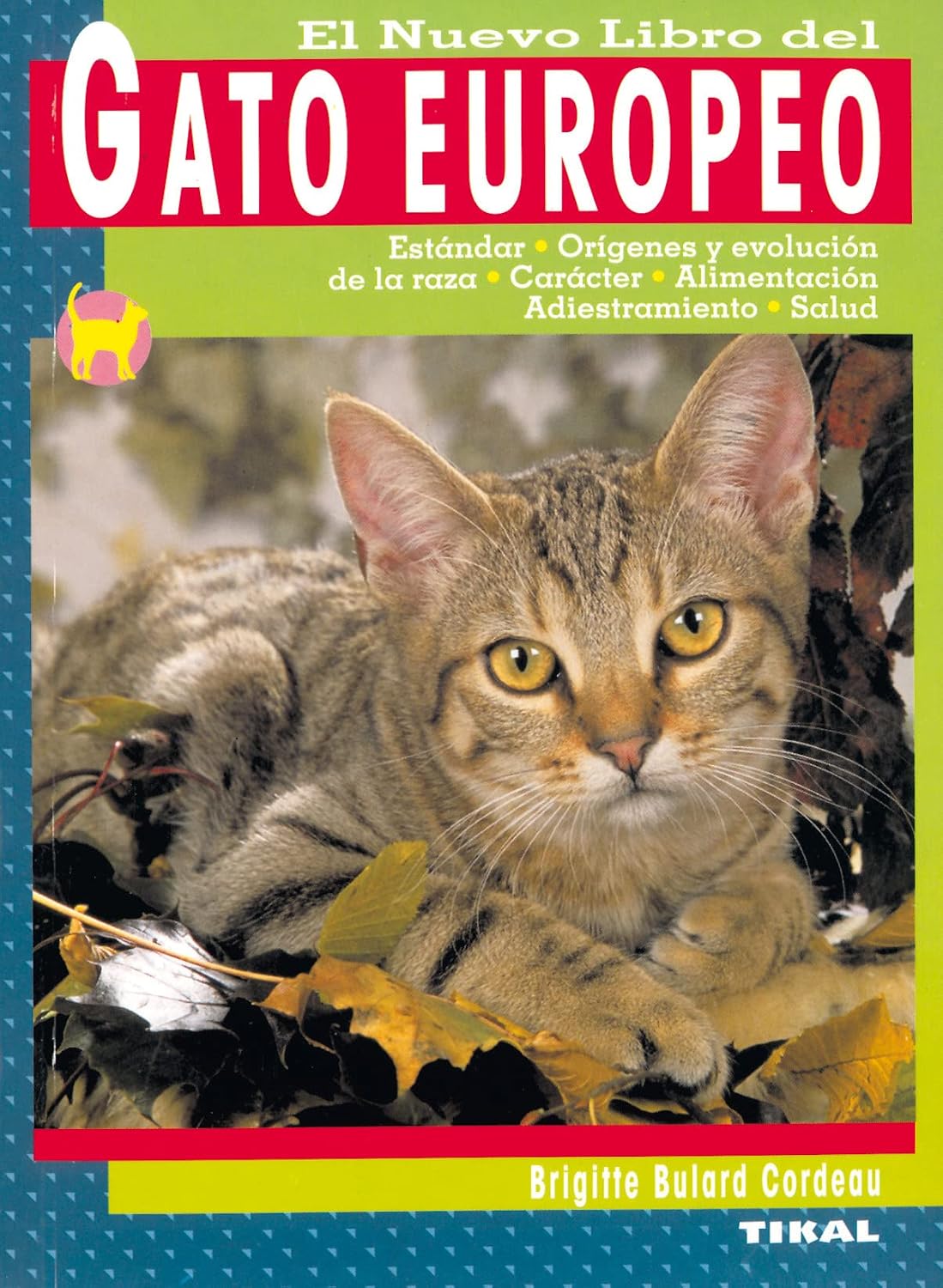Gato europeo baixar livro de graça