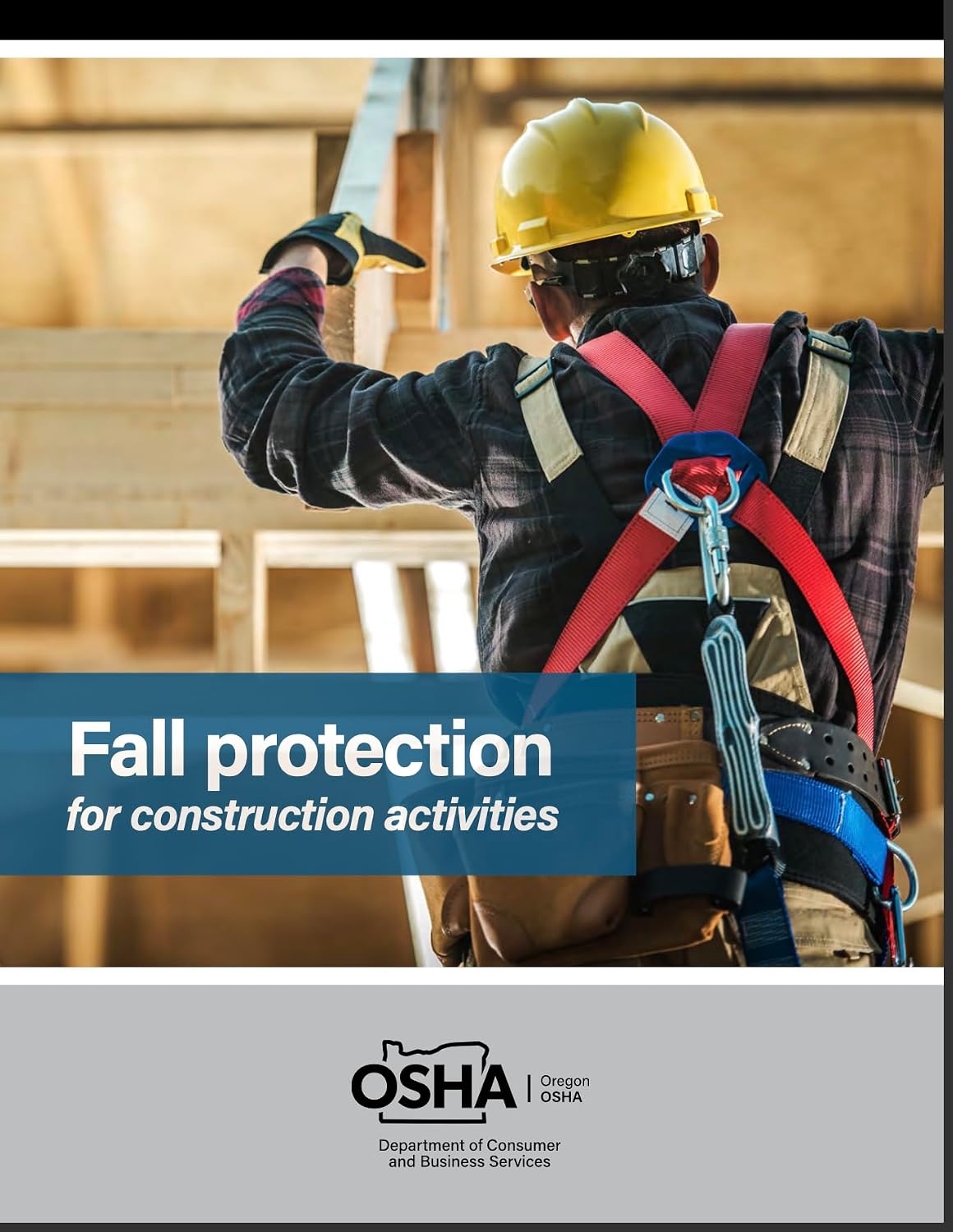 Fall Protection: For Construction Activities (English Edition) baixar livro de graça