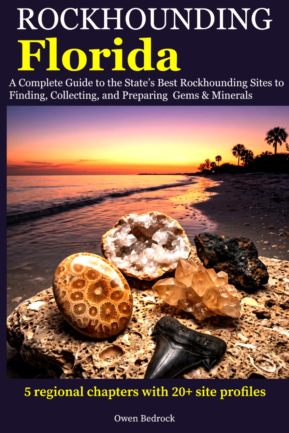 Rockhounding Florida: A Complete Guide to the State's Best Rockhounding Sites to Finding, Collecting and Preparing Gems & Minerals baixar o livro de graça