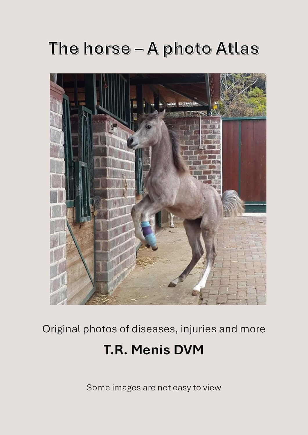 ler totalmente The horse – A photo Atlas: Original photos of diseases, injuries and more (English Edition)