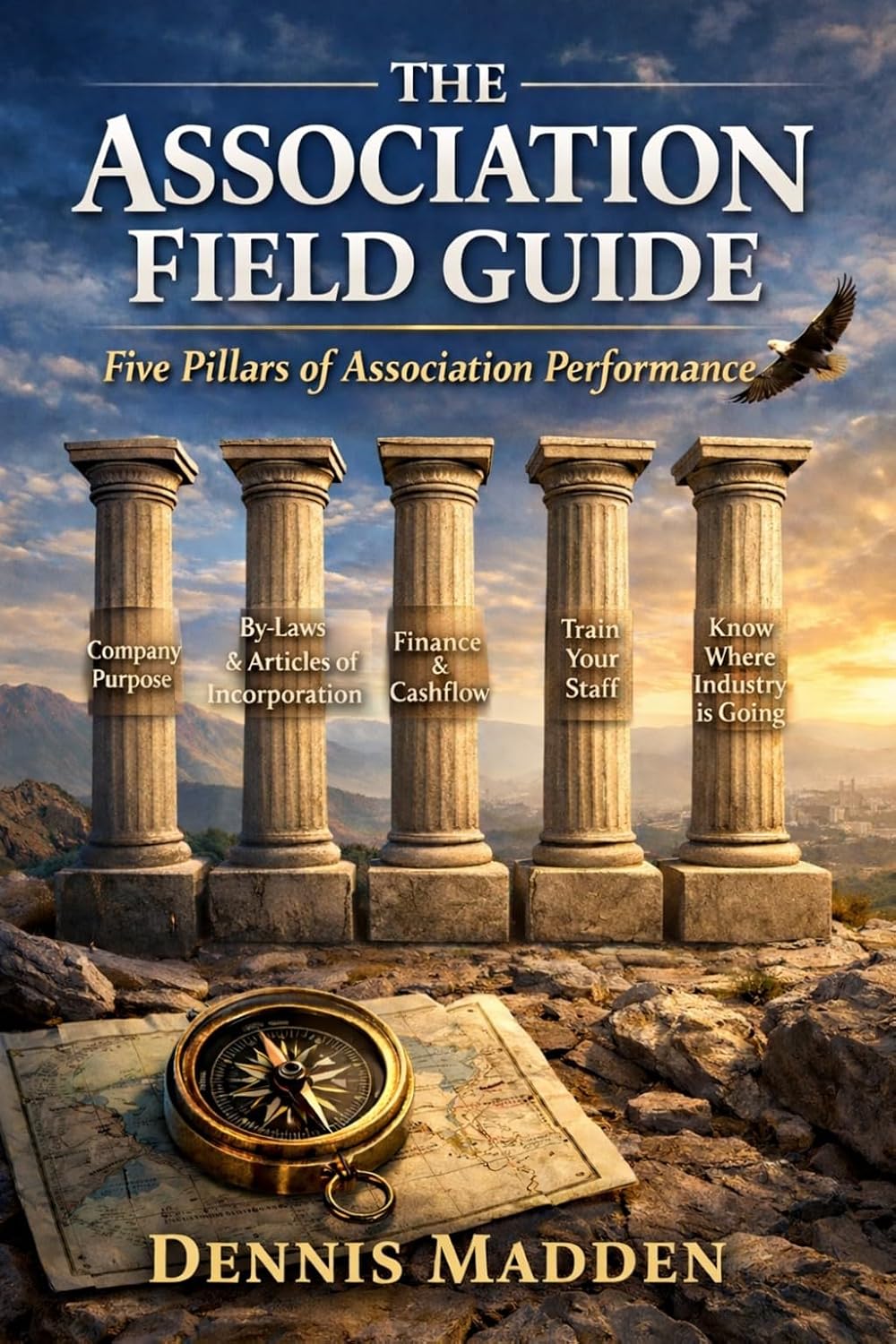 THE ASSOCIATION FIELD GUIDE: Five Pillars of Association Performance (English Edition) baixar livro de graça