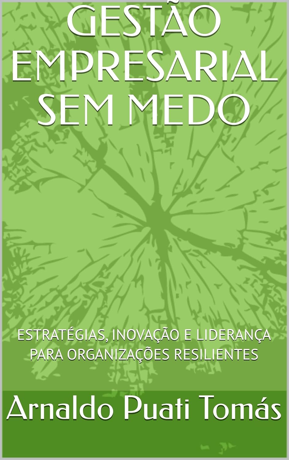 GESTÃO EMPRESARIAL SEM MEDO: ESTRATÉGIAS, INOVAÇÃO E LIDERANÇA PARA ORGANIZAÇÕES RESILIENTES (Edições Académicas Arnaldo Puati Tomás) baixar o livro de graça
