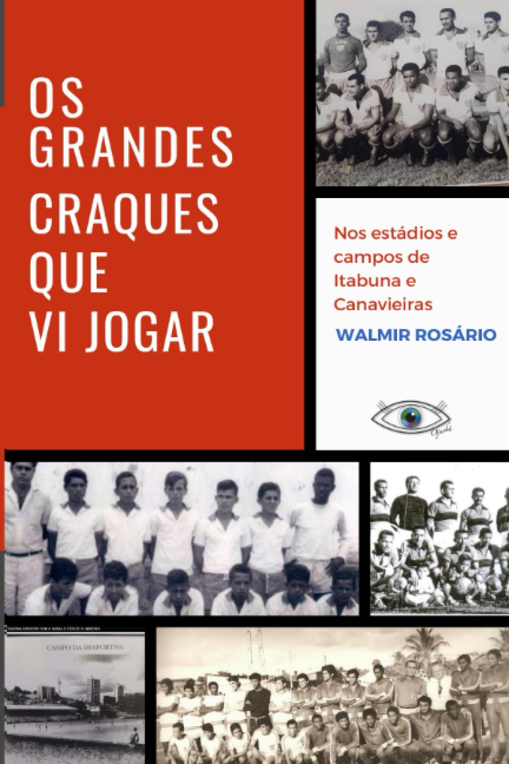 Os Grandes Craques Que Vi Jogar: Nos estádios e campos de Itabuna e Canavieiras baixar o livro de graça