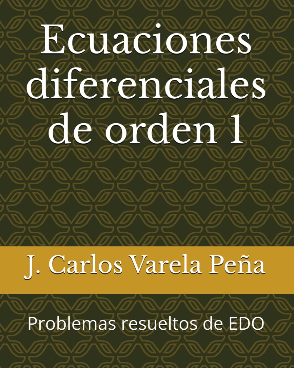 Ecuaciones diferenciales de orden 1: Problemas resueltos de EDO baixar o livro de graça