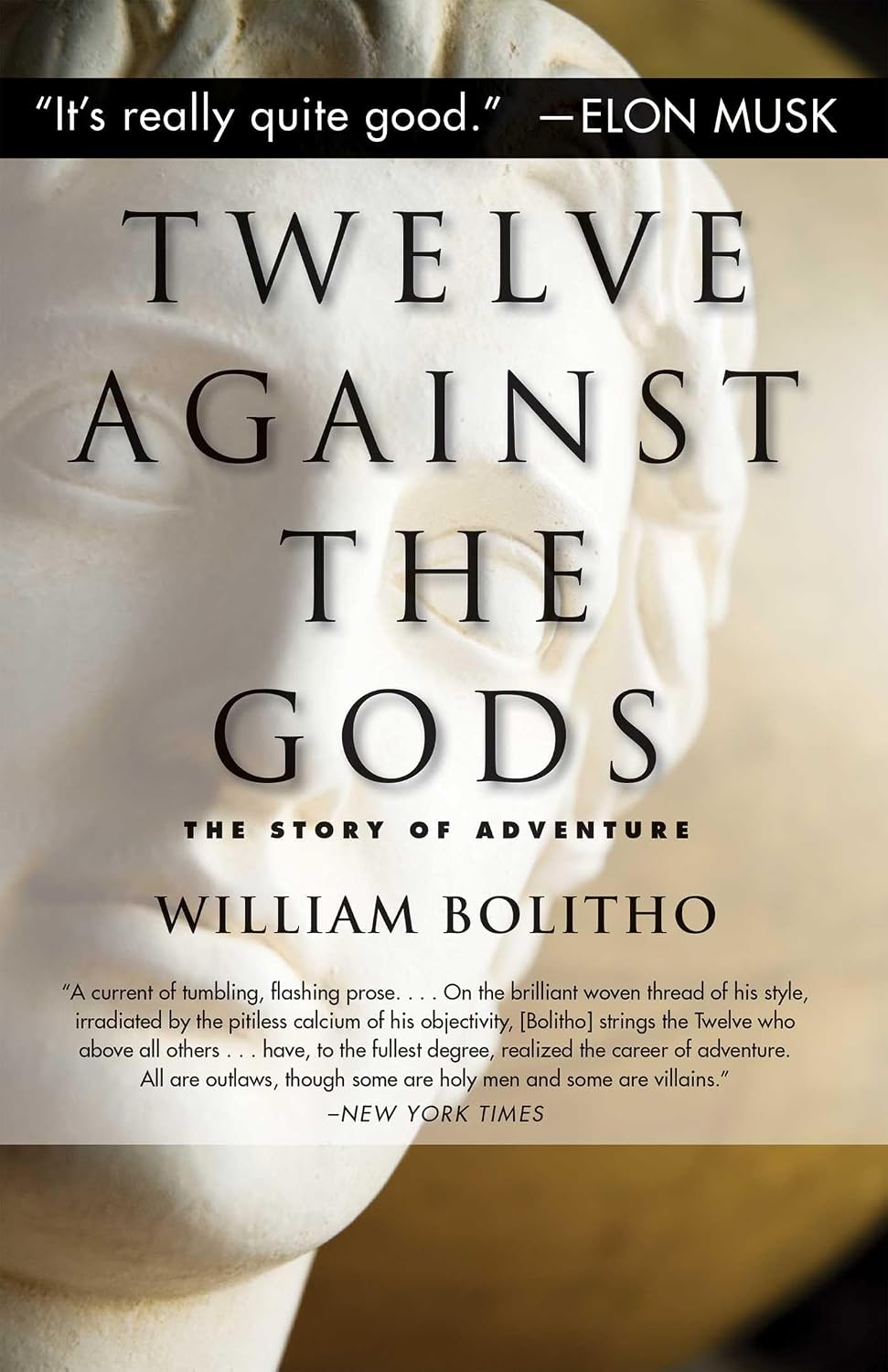 ler totalmente Twelve Against the Gods: The Story of Adventure