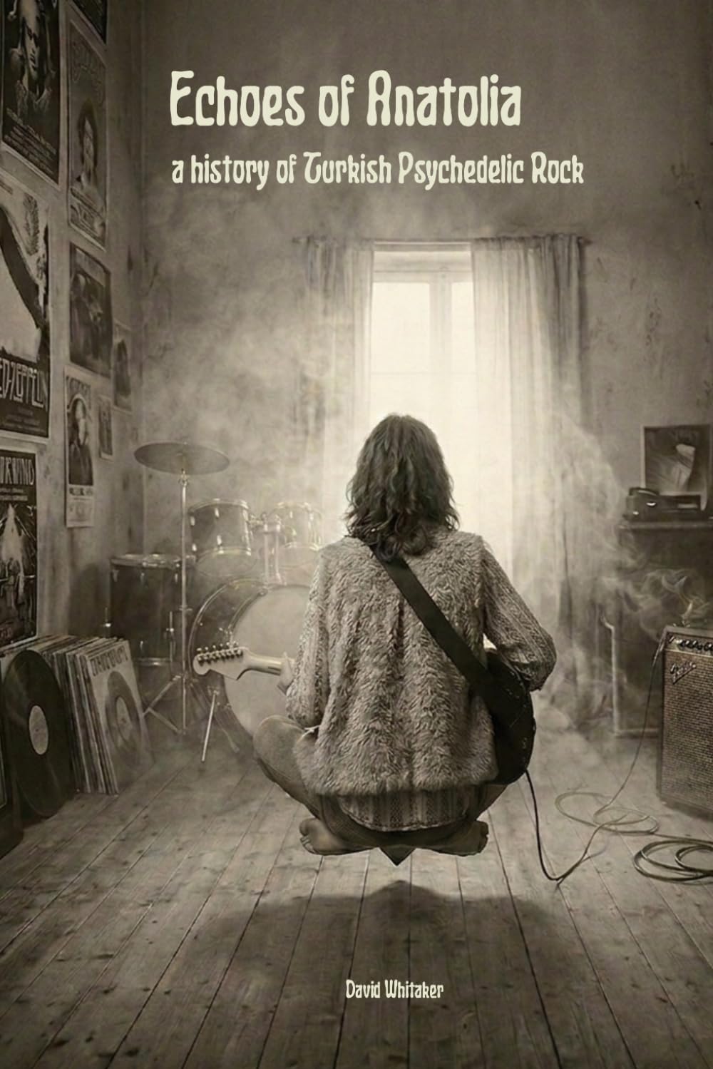 ECHOES OF ANATOLIA: A History of Turkish Psychedelic Rock and the Anatolian Synthesis baixar o livro de graça