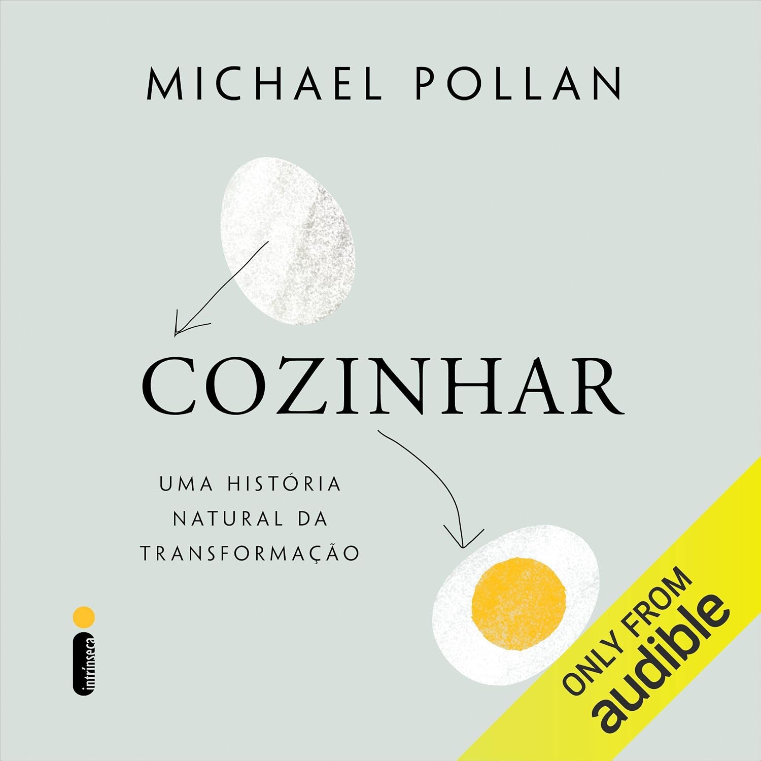 capítulo por capítulo baixar Cozinhar: Uma história natural da transformação