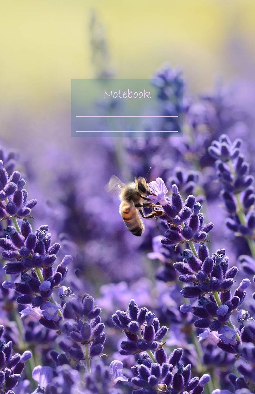 Notebook: Dotted grid Journal. Bullet Diary. Ideal for Notes, Memories, Journaling, Creative planning and Calligraphy practice. 120 Pages. Soft matte... gift idea. (lavender blossoms bee cover). baixar livro de graça