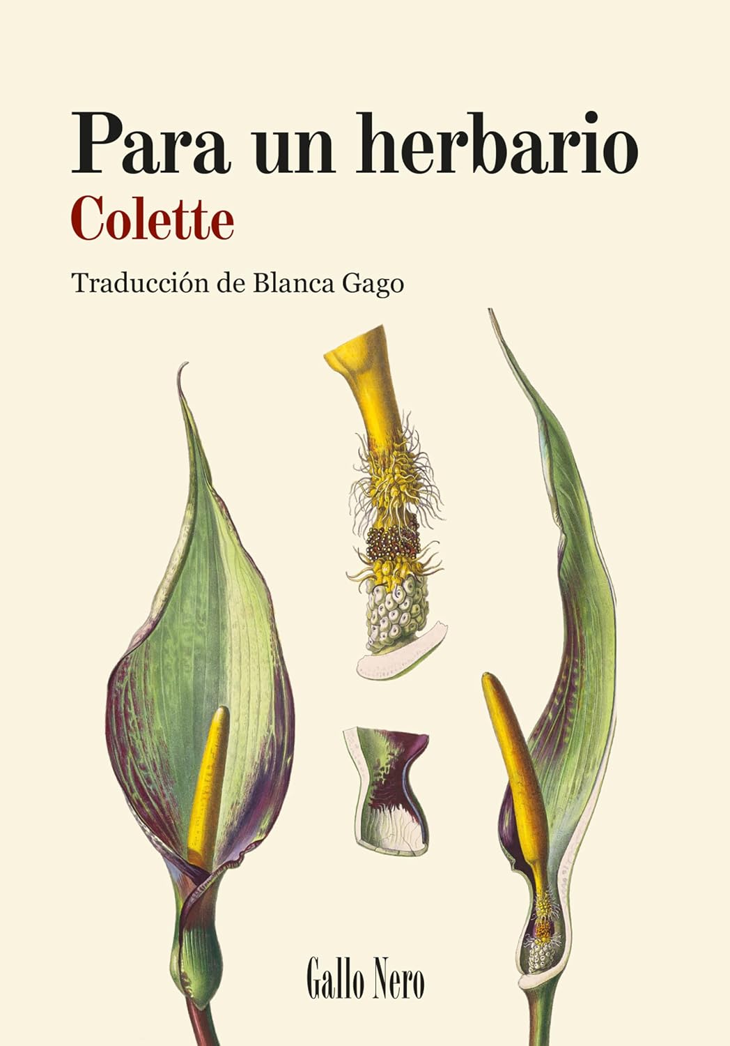 Para un herbario (Piccola nº 19) (Spanish Edition) baixar o livro de graça