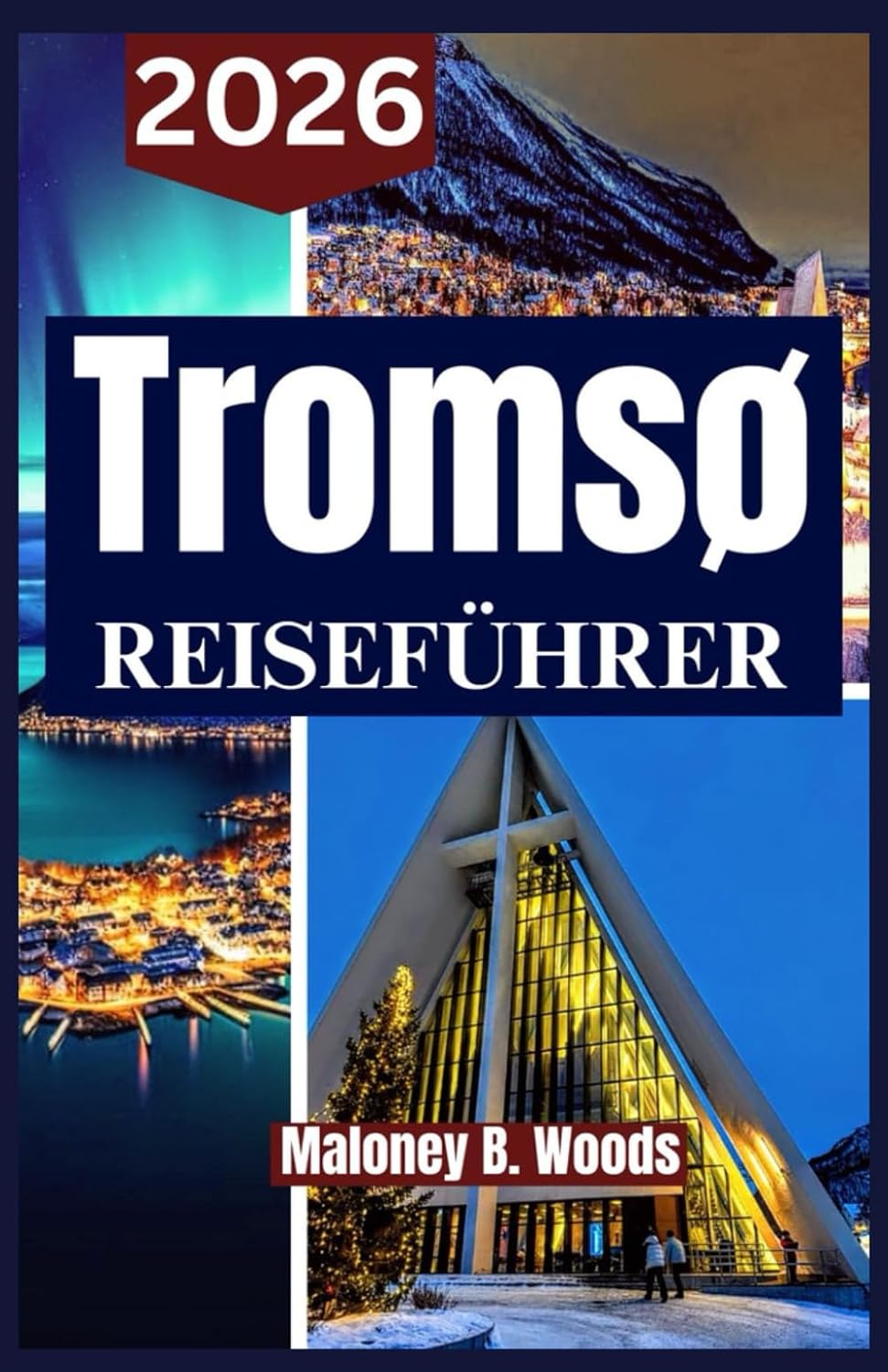 TROMSO REISEFÜHRER 2026: Ein praktisches Handbuch für arktische Erlebnisse und Polarlicht Abenteuer in Norwege (German Edition) baixar livro de graça