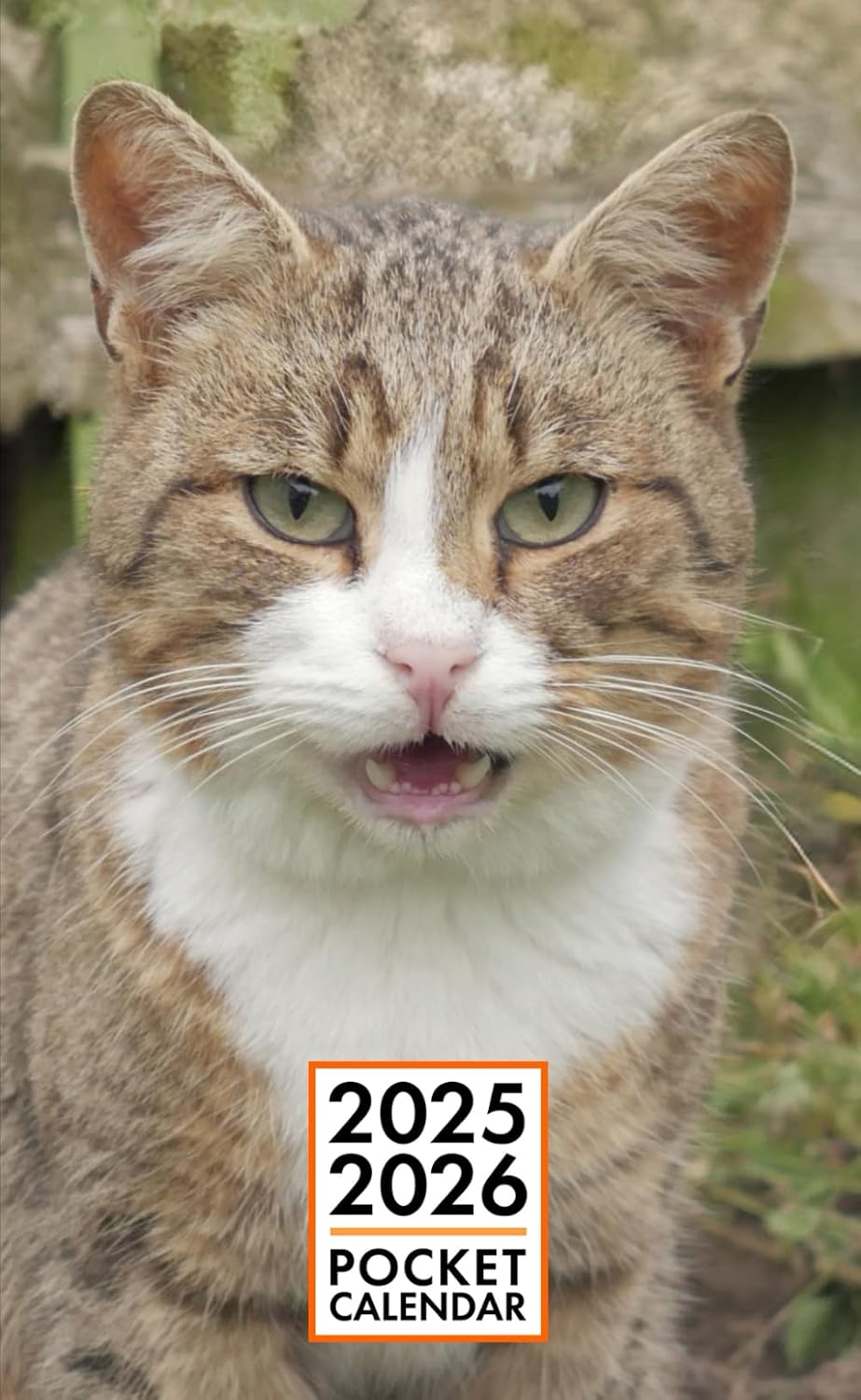 Pocket Calendar 2025-2026 for Purse - Tabby Cat v4 | 2 Year Pocket Planner January 2025 - December 2026 | Small Pocket Size 4 x 6.5 | Sketches of Cats in the Middle baixar livro de graça