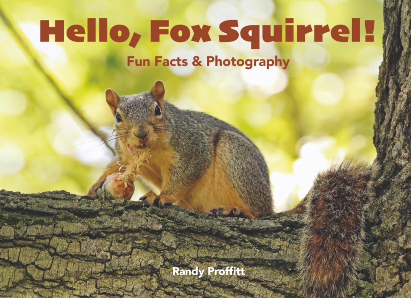 capítulo por capítulo baixar Hello, Fox Squirrel! (Hello, Wildlife!)