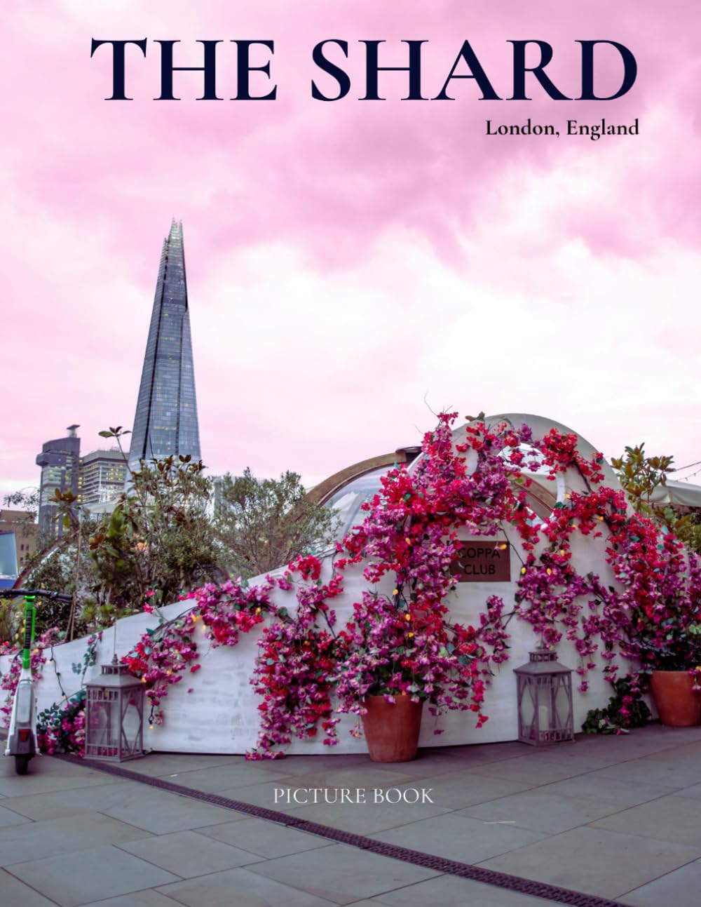 Picture book of The Shard: A Visual Journey baixar livro de graça