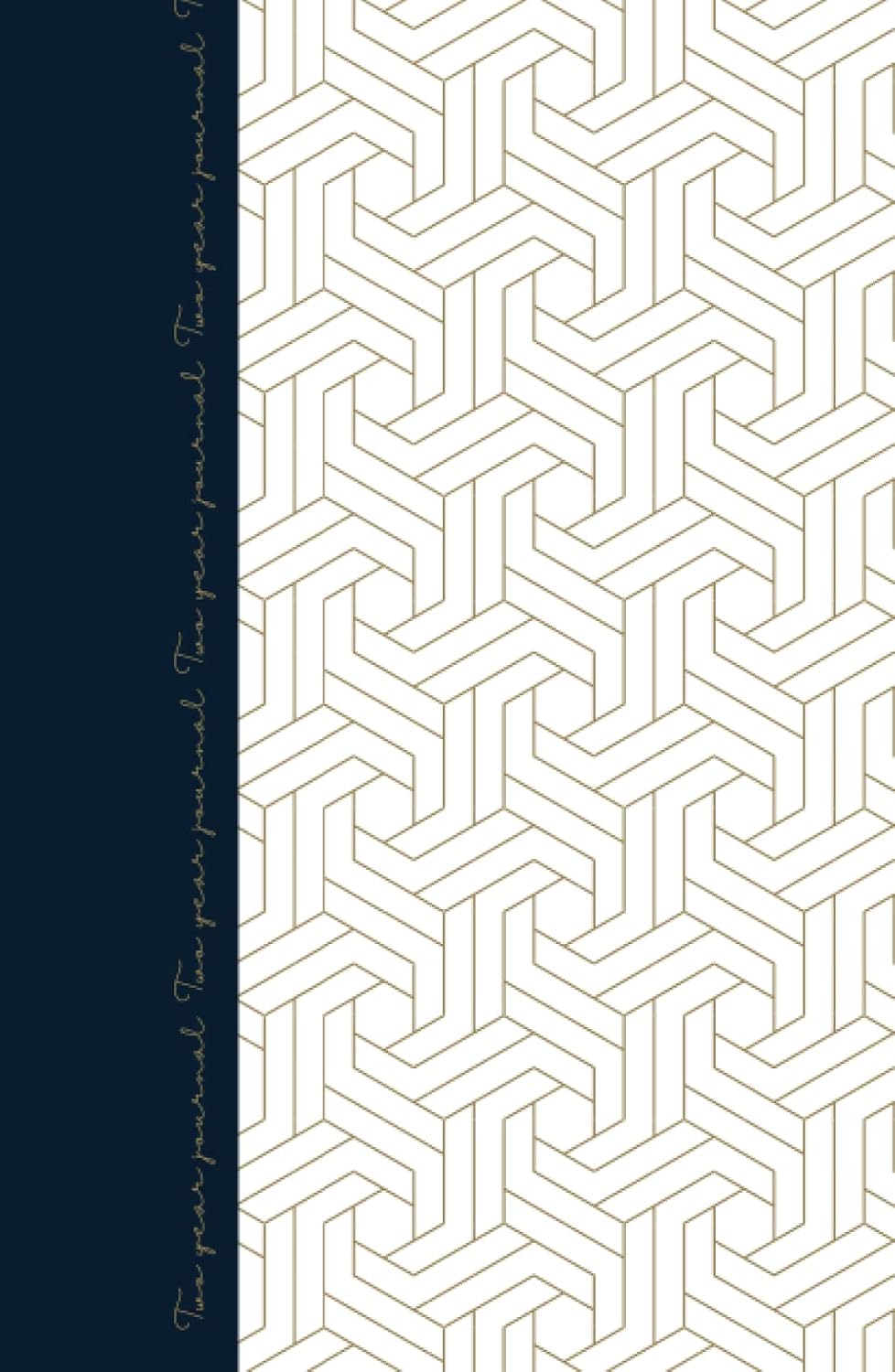 Two Year Journal: Blue and Gold baixar livro de graça