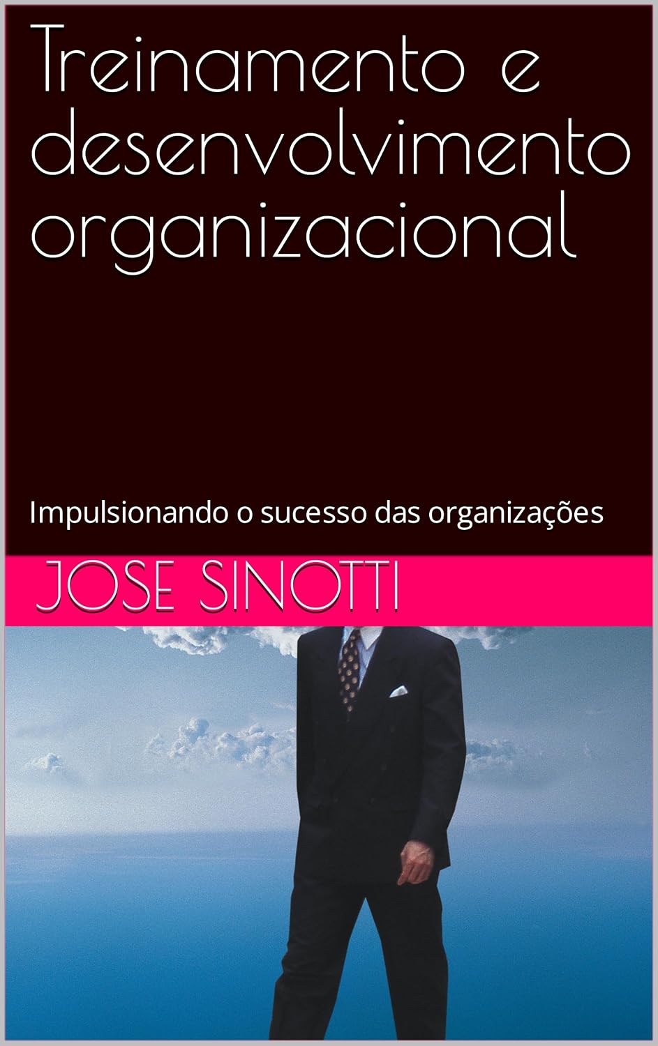 Treinamento e desenvolvimento organizacional: Impulsionando o sucesso das organizações baixar o livro de graça