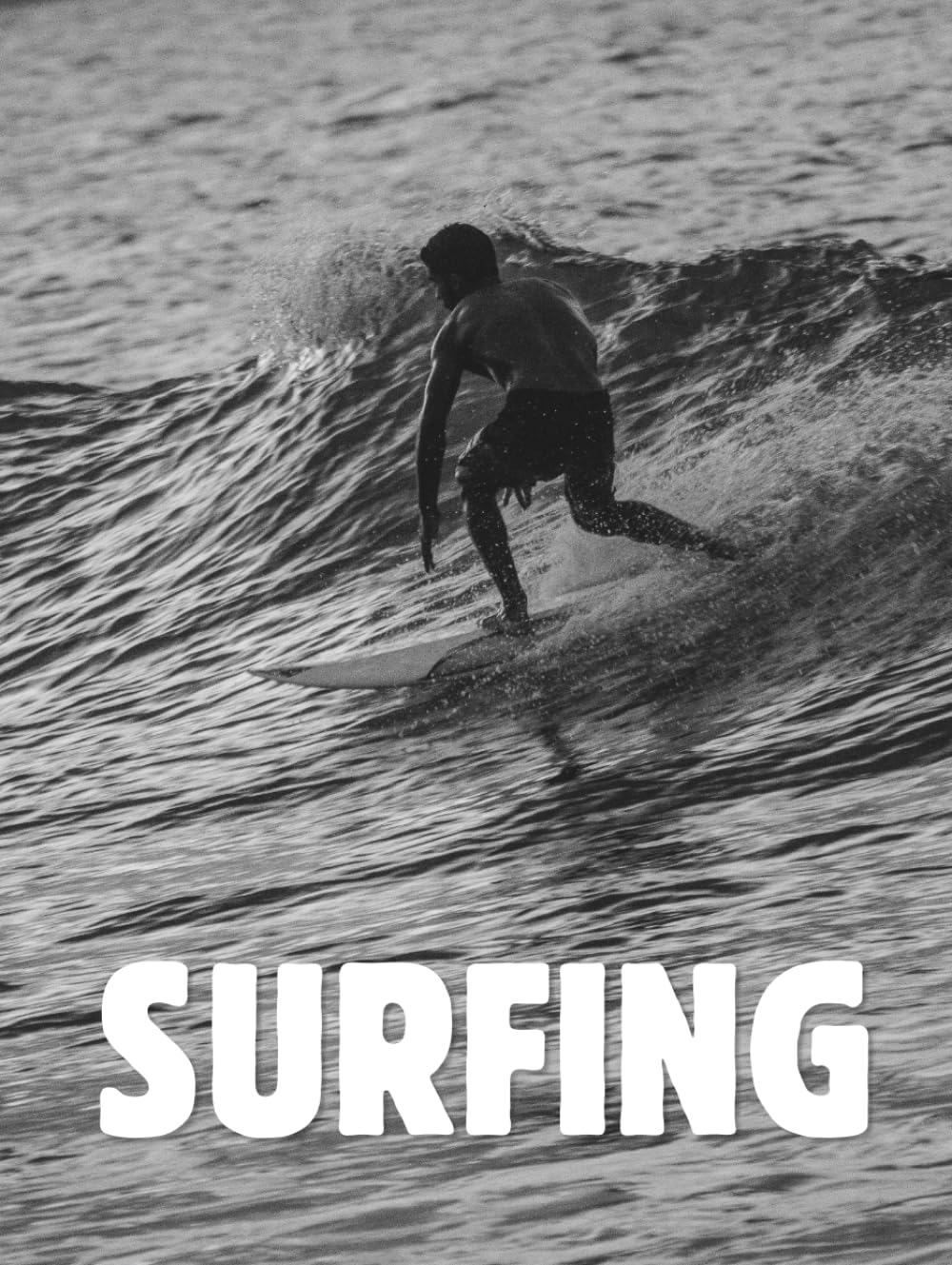 Surfing Afro Coastal Photography Book: High-Quality Beach Lifestyle and Ocean Sports Visual Collection baixar livro de graça