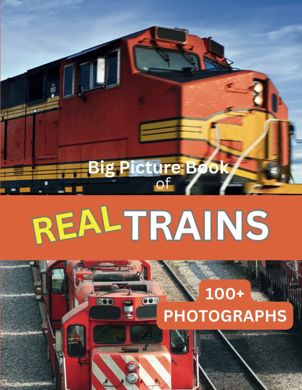 Picture Book of Real Trains: Over 100 Photographs of Real Trains in Action! baixar o livro de graça