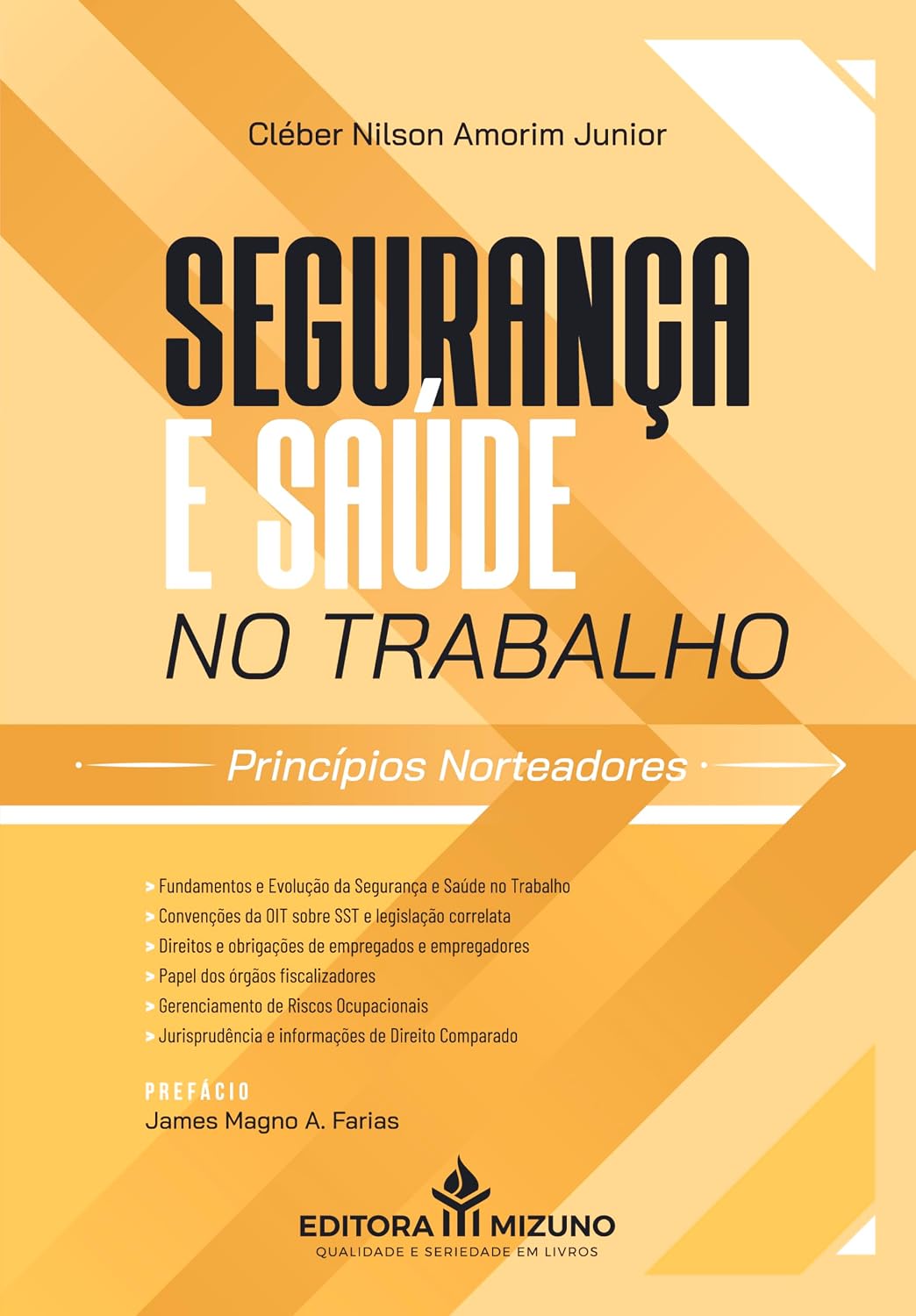 Segurança e Saúde no Trabalho baixar o livro de graça