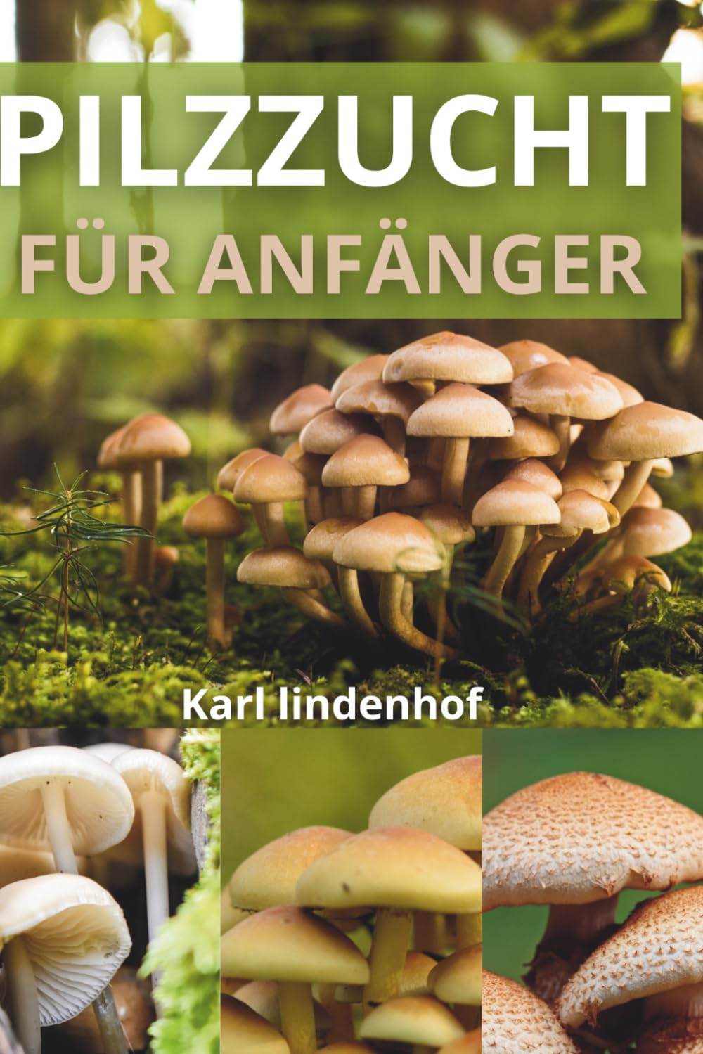 PILZZUCHT FÜR ANFÄNGER: EIN SCHRITT-FÜR-SCHRITT-LEITFADEN ZUM ANBAU GESUNDER ESSBARER PILZE, ZUR VERMEIDUNG HÄUFIGER FEHLER, ZUR SELBSTBEWUSSTEN ERNTE... GENIESSEN FRISCHER PILZE (German Edition) baixar livro de graça