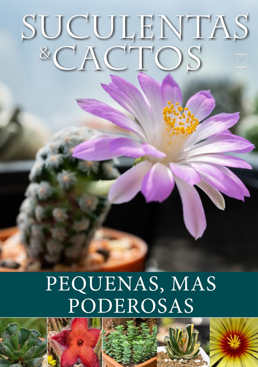 ler totalmente Suculentas e Cactos: Pequenas, mas Poderosas