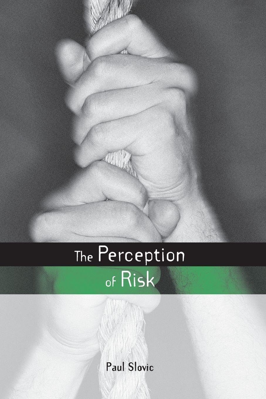 The Perception of Risk baixar livro de graça