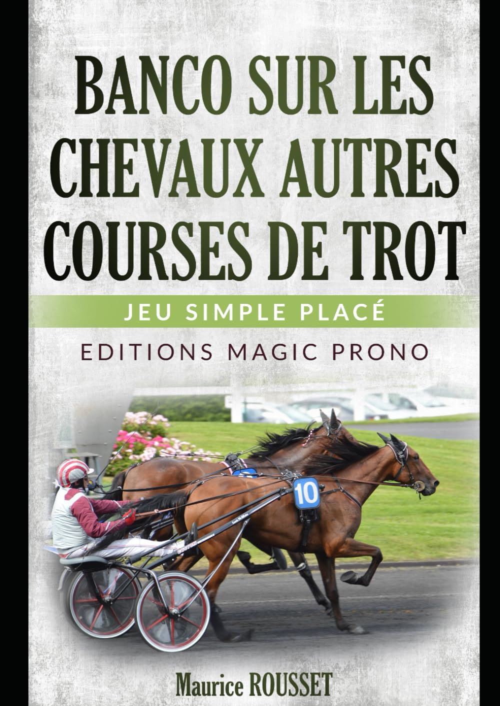 Banco sur les chevaux autres courses de trot: Pour jouer dans les autres courses de trot (French Edition) baixar o livro de graça