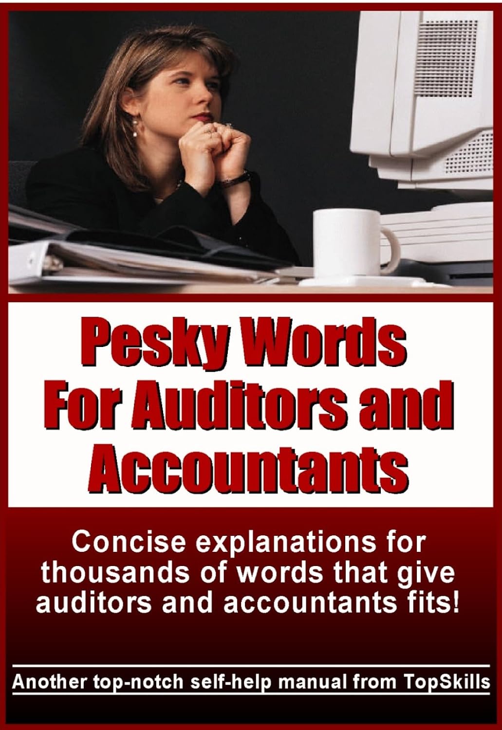 ler totalmente Pesky Words for Auditors and Accountants (English Edition)