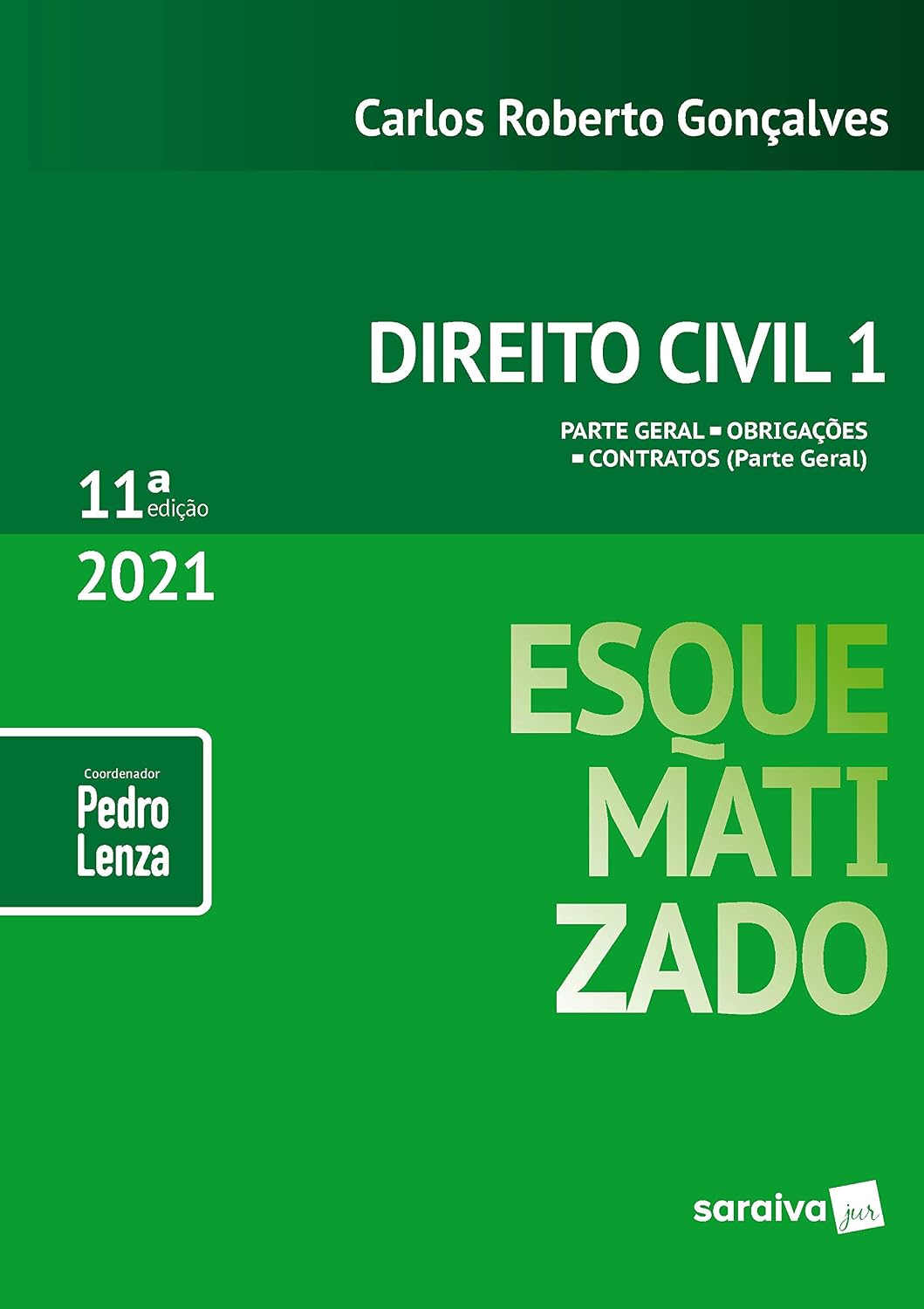 capítulo por capítulo baixar Direito Civil Esquematizado - Vol.1 - 11ª Edição 2021: Volume 1