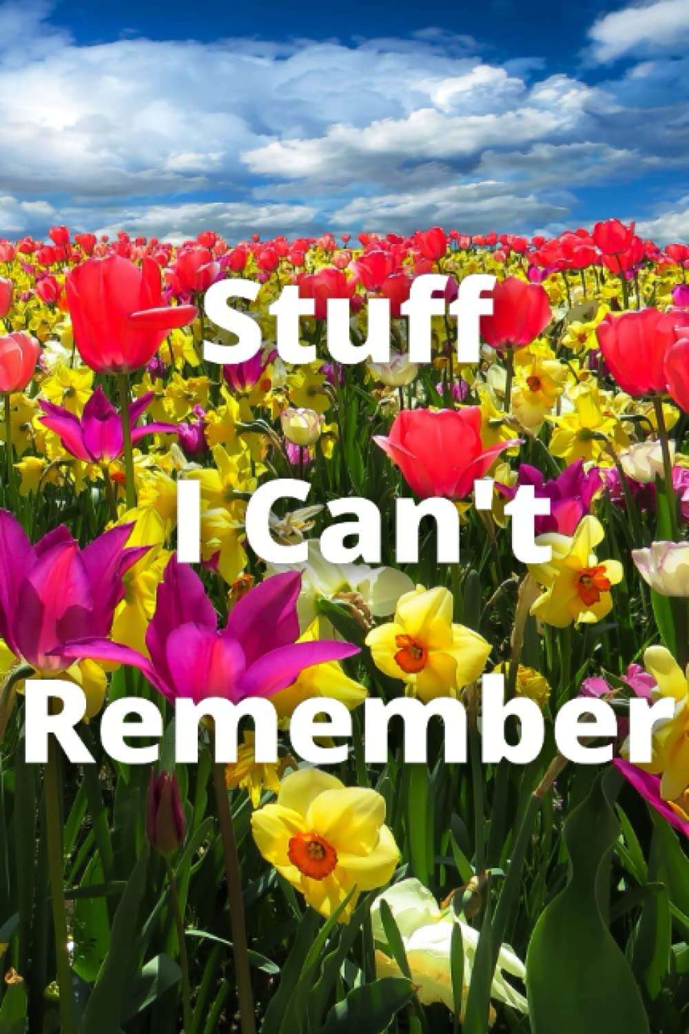 capítulo por capítulo baixar Stuff I Can't Remember: Personal Internet and Password Keeper, Password Log Book, Username/Login, Web Addresses, Email, and Many Secret... Home, Office, etc.....(Alphabetically Sorted)