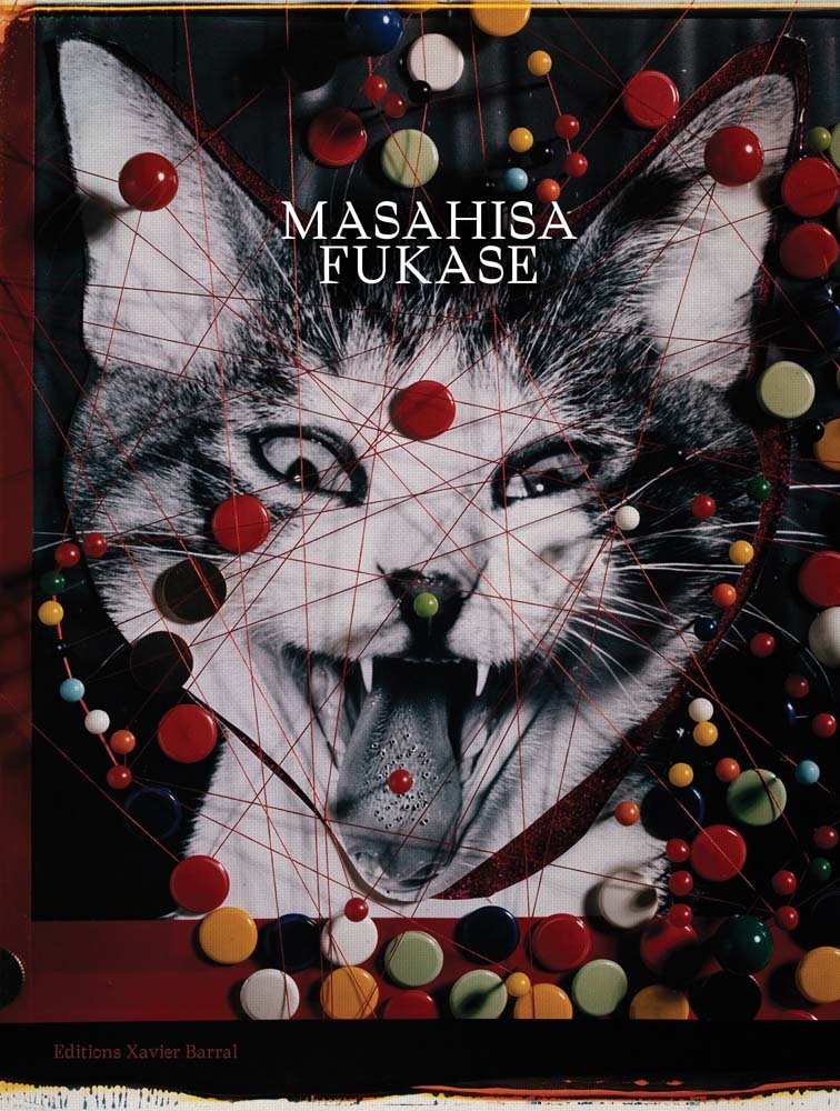 ler totalmente Masahisa Fukase