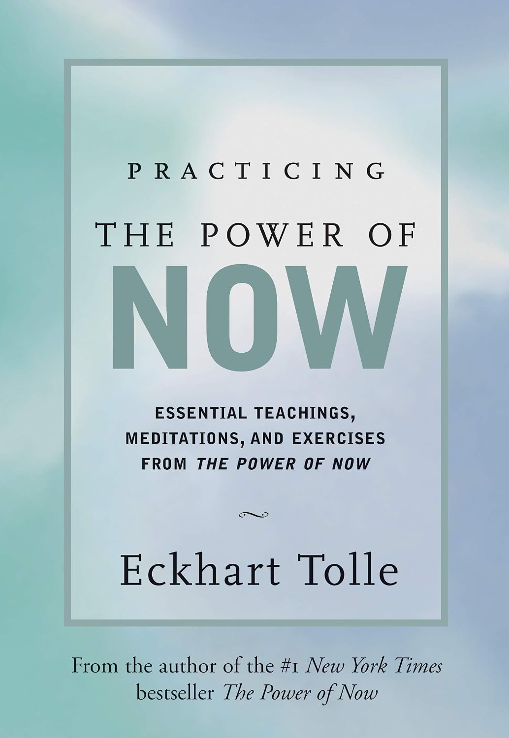 ler totalmente Practicing the Power of Now: Essential Teachings, Meditations, and Exercises from the Power of Now (English Edition)