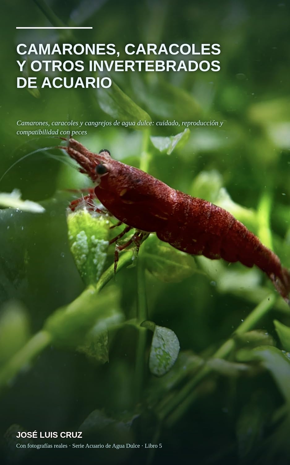 ler totalmente Camarones, Caracoles y Otros Invertebrados de Acuario: Guía práctica con fotografías reales: Neocaridina, Caridina, Amano, caracoles Nerita, Ramshorn y... para Principiantes) (Spanish Edition)